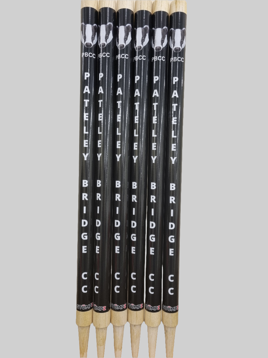Custom Stumps Set